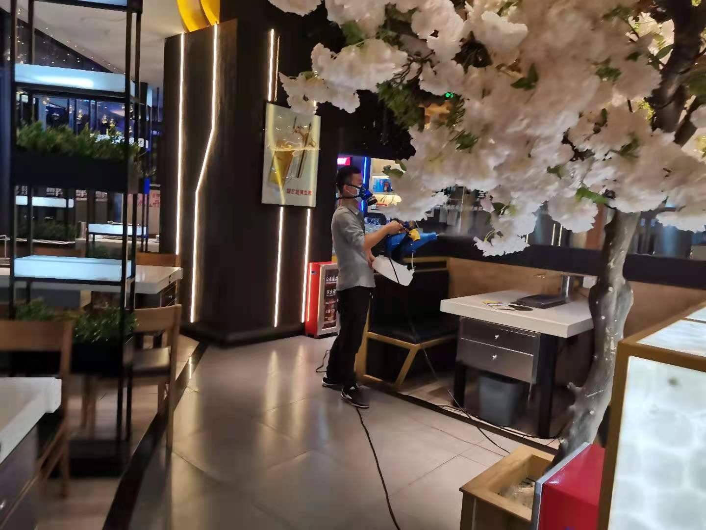 广州杀虫公司：冬天蟑螂喜欢藏在哪里？