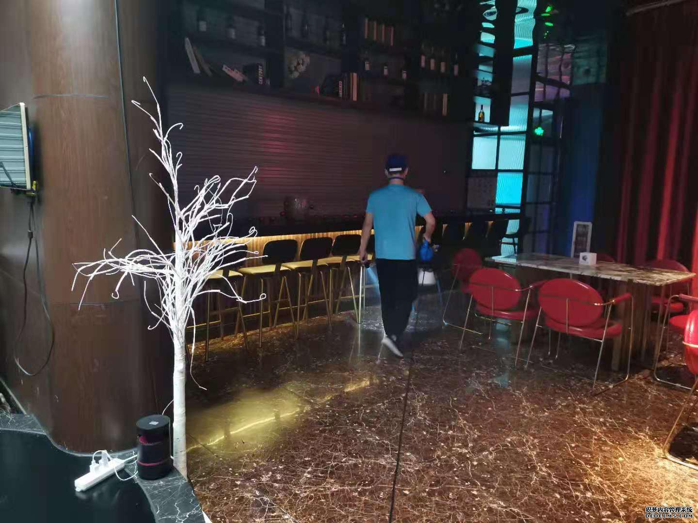 广州杀虫公司：鼠类的寿命是多久？